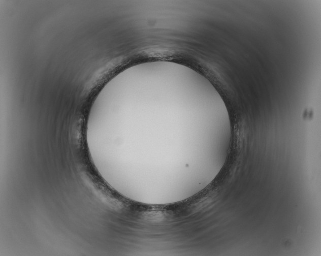 X0000111240404200907231533