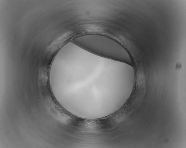 X0000111240405200907231533