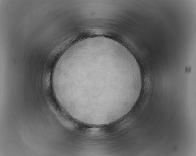 X0000111240406200907231533