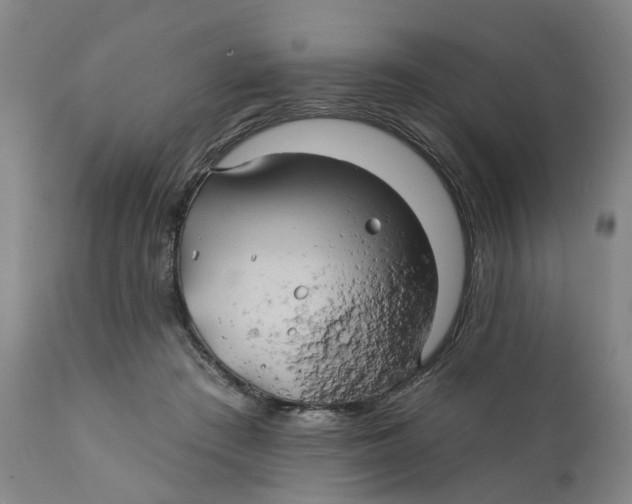 X0000111240409200907231533