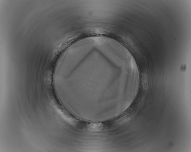 X0000111240410200907231533