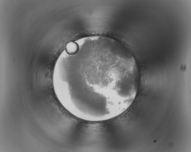 X0000111240411200907231533