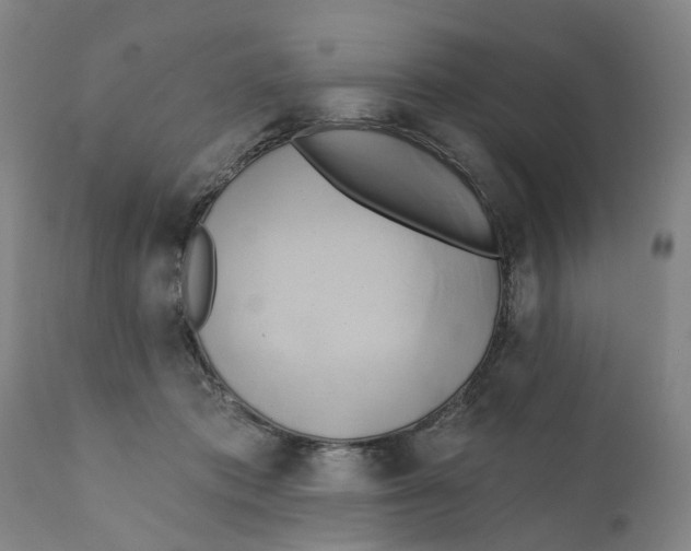 X0000111240413200907231533