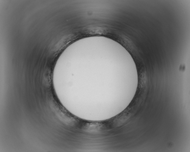 X0000111240414200907231533