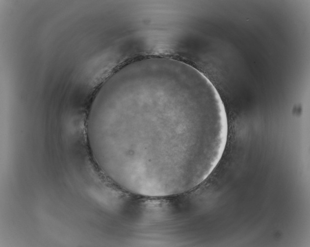 X0000111240415200907231533