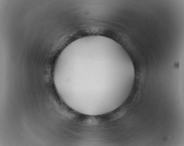 X0000111240416200907231533