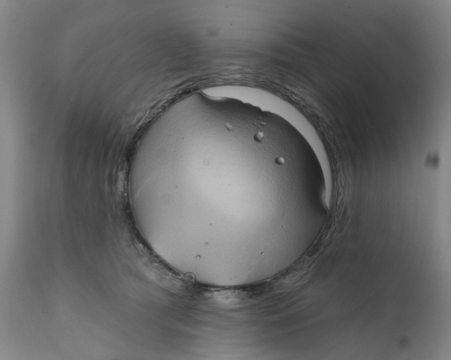 X0000111240417200907231533