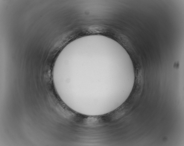 X0000111240418200907231533