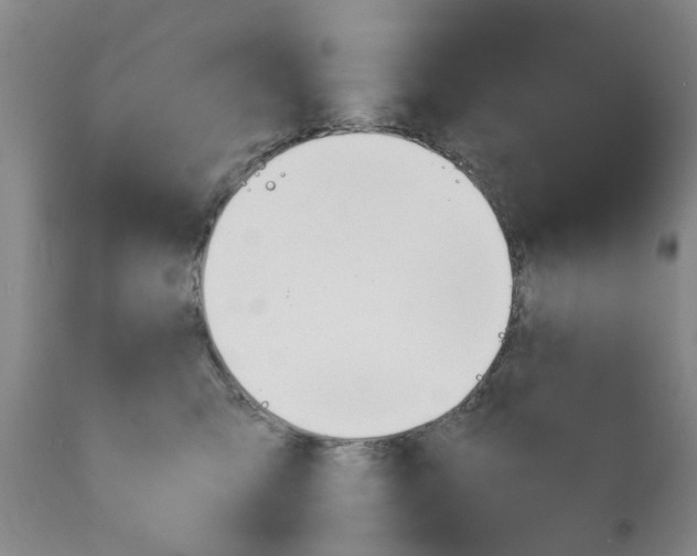 X0000111240423200907231533