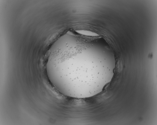 X0000111240424200907231533