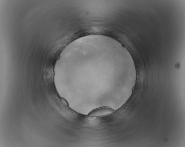 X0000111240425200907231533