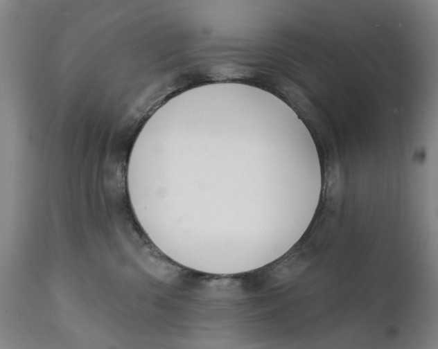 X0000111240426200907231533