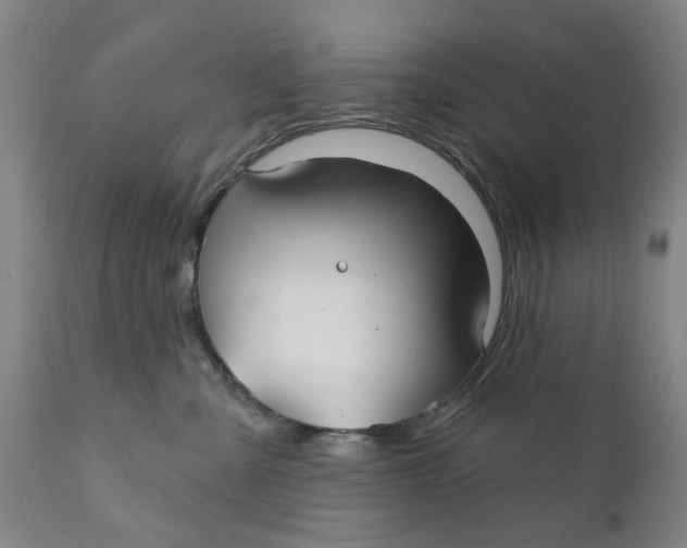 X0000111240427200907231533