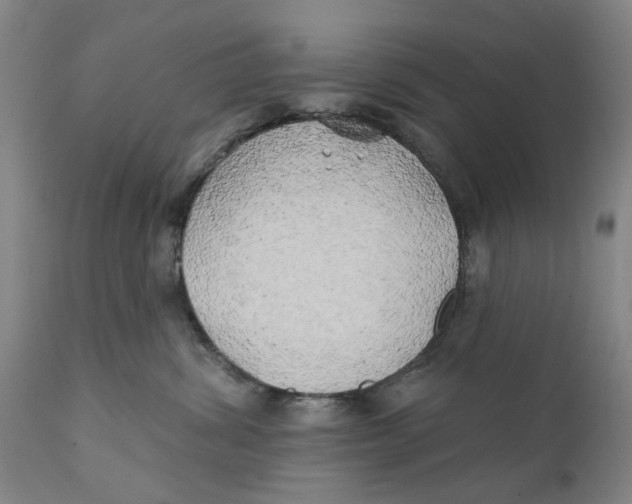 X0000111240428200907231533