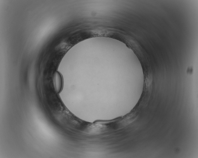 X0000111240429200907231533