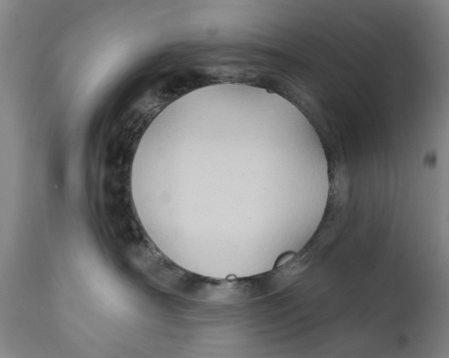 X0000111240430200907231533