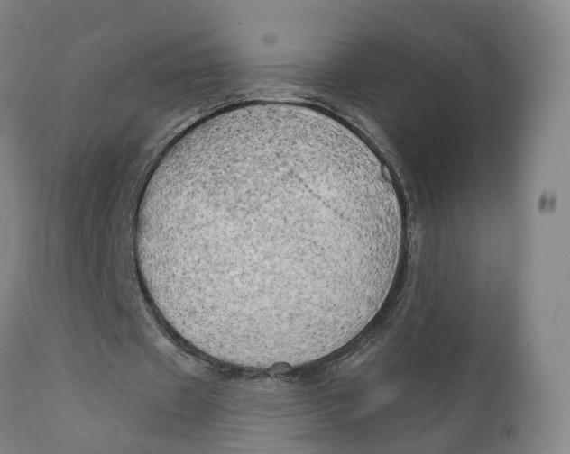 X0000111240433200907231532