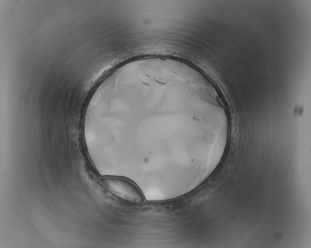 X0000111240434200907231532