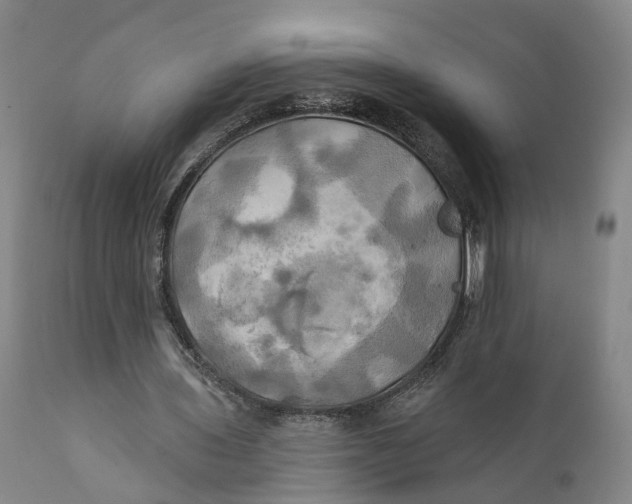 X0000111240435200907231532