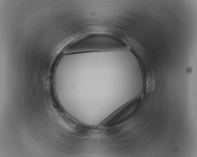 X0000111240436200907231532