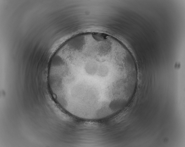 X0000111240437200907231532