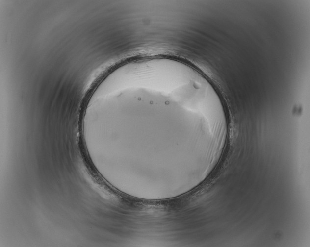 X0000111240438200907231532