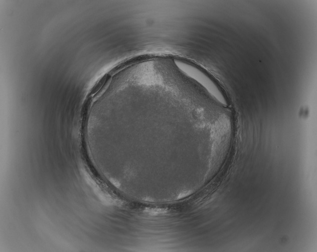 X0000111240440200907231532