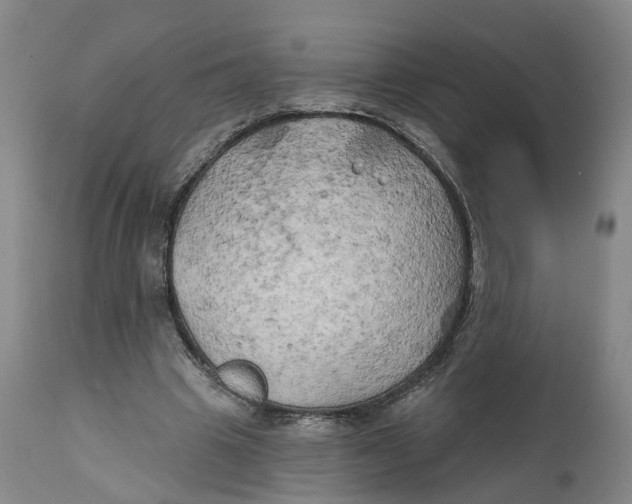 X0000111240441200907231532