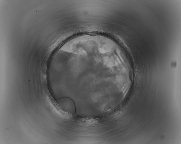 X0000111240443200907231532