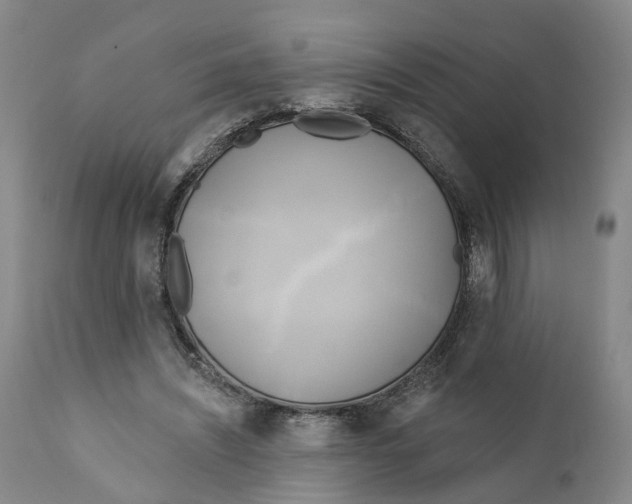 X0000111240444200907231532