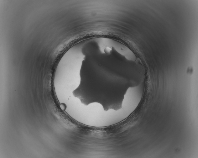 X0000111240446200907231532