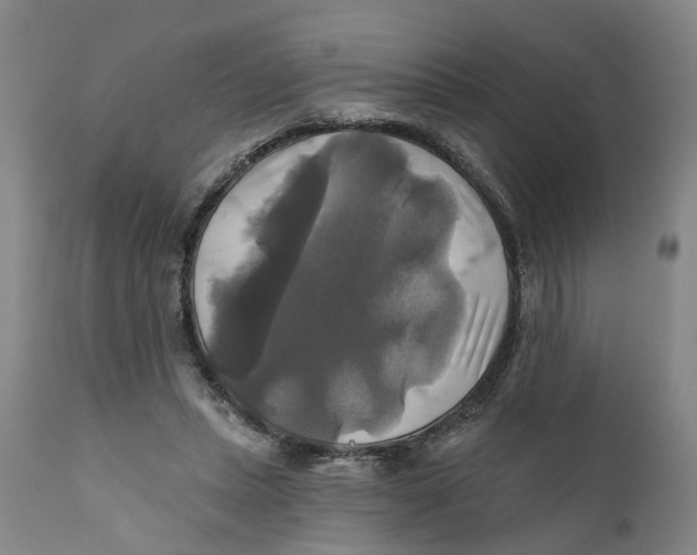 X0000111240447200907231532