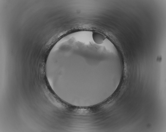 X0000111240449200907231532