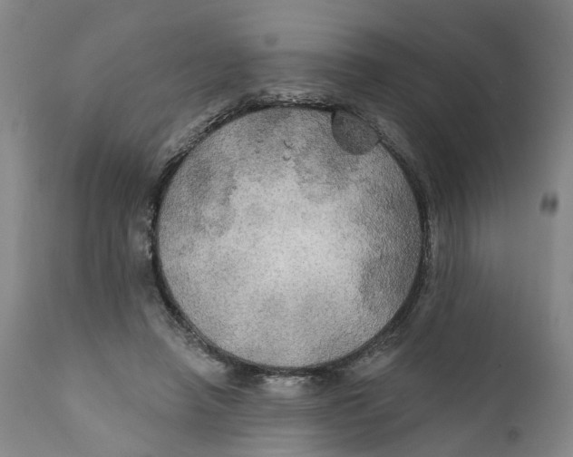 X0000111240450200907231532