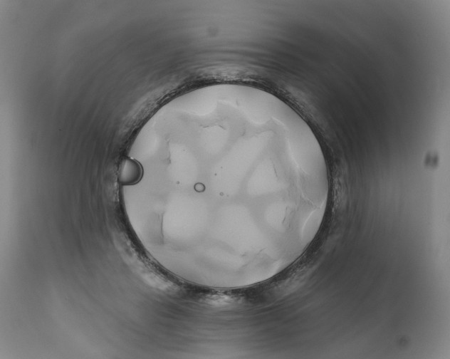 X0000111240453200907231532