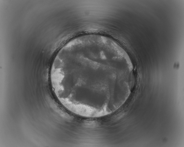 X0000111240454200907231532