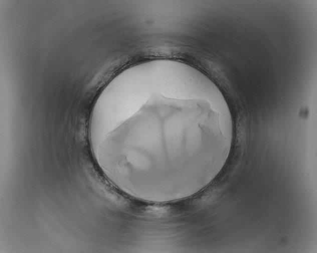 X0000111240457200907231532