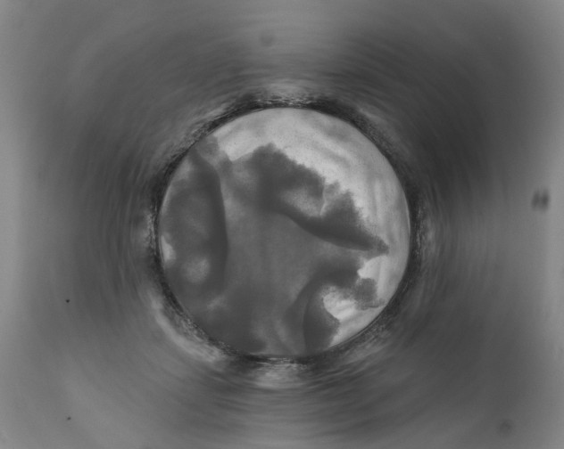 X0000111240459200907231532