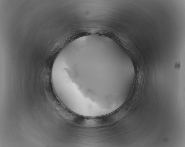 X0000111240461200907231532