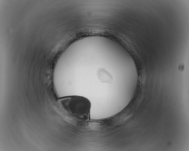 X0000111240462200907231532