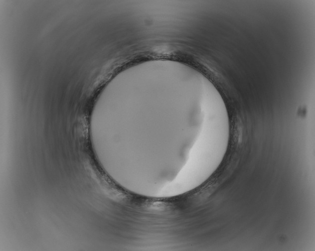 X0000111240467200907231533