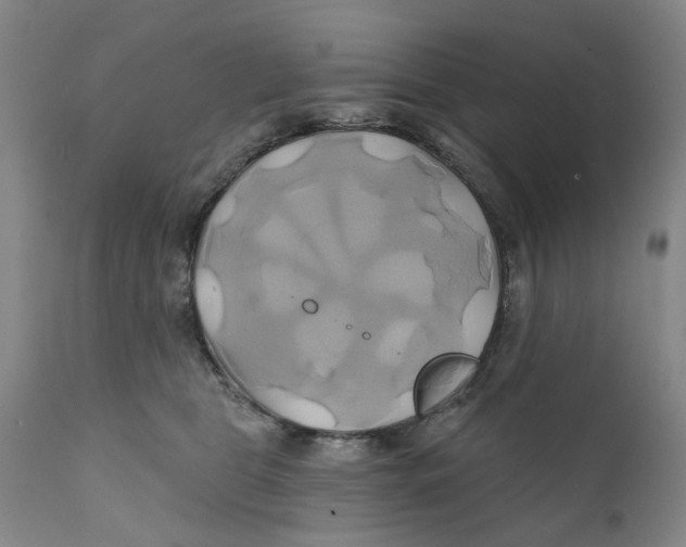 X0000111240469200907231533