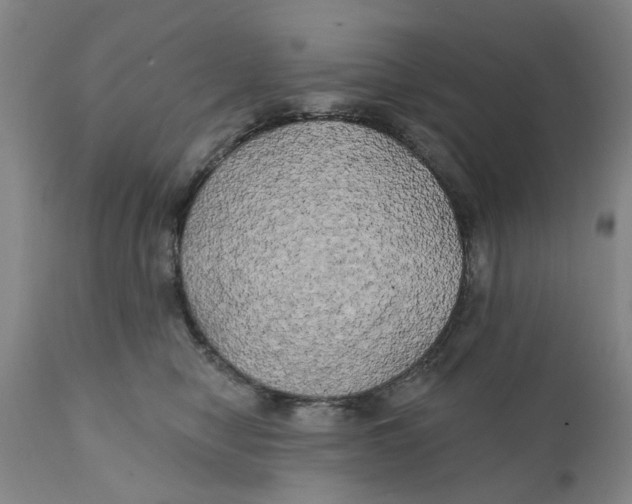 X0000111240470200907231533