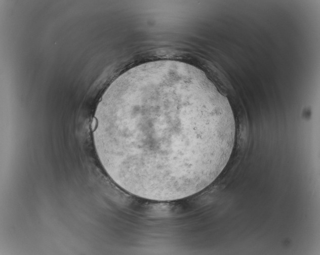 X0000111240473200907231533