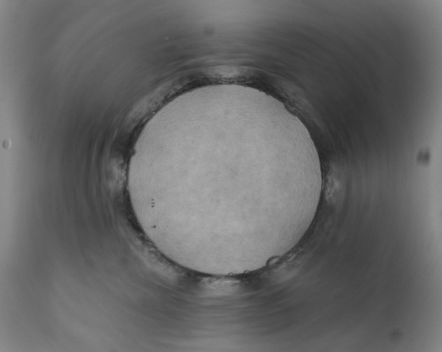 X0000111240476200907231533