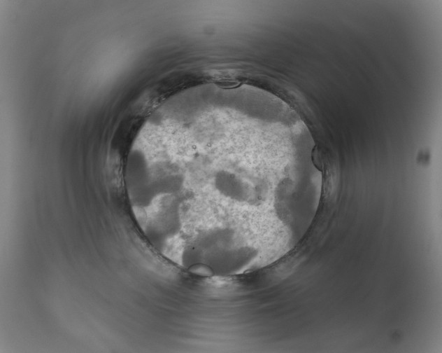 X0000111240477200907231533