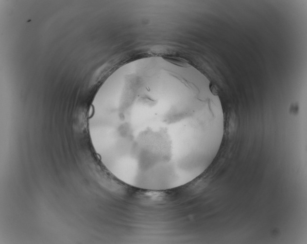 X0000111240478200907231533