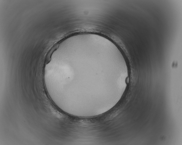 X0000111240481200907231532