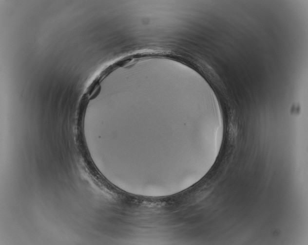 X0000111240484200907231532