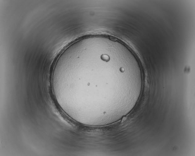 X0000111240485200907231532